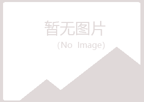 尼勒克县听枫工程有限公司